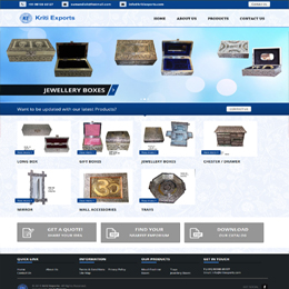 Softwares development Company in Delhi